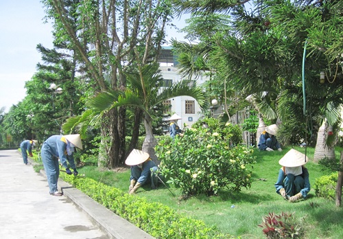 Dịch vụ cắt cỏ - Công Ty TNHH Vệ Sinh Cây Xanh Hoàng Phong
